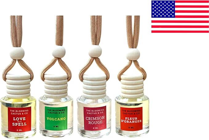 4 Pack Air fresheners | Long lasting car air fresheners, Hand-made in USA | Small room diffuser | Small Business Woman Owned. (8 ml Delightful & Elegant Pack Mix)