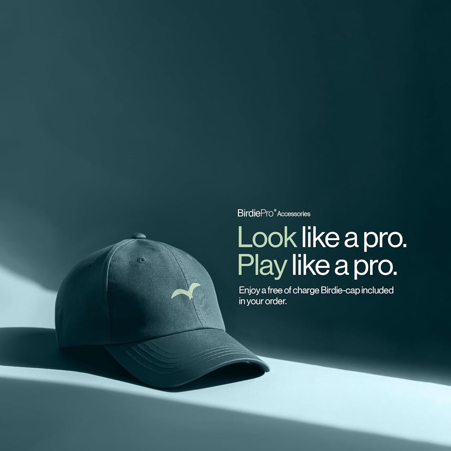 BirdiePro® - American Pro Golf Practice Net – 10x7ft Heavy Duty Golf Hitting Net with EchoShield™ Target & FlexWeave™ Net - Indoor Outdoor Training Backyard, Garage Complete Set with Mat, Balls & Cap