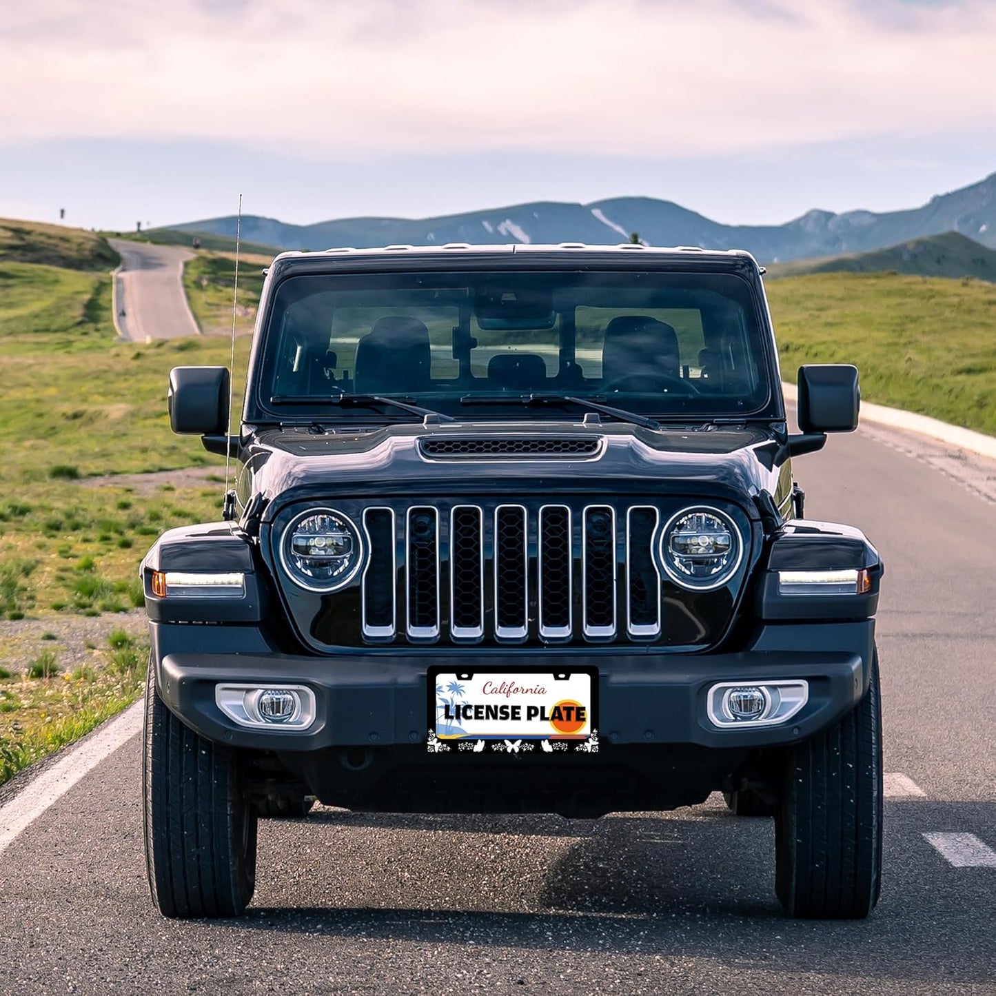 Black White Butterfly License Plate Frame Funny Butterflies License Plate Holder for Front or Rear Car Tags Reusable Durable Stainless Steel Car Decoration with Screws 6.3 X 12.2 Inch for Men Women