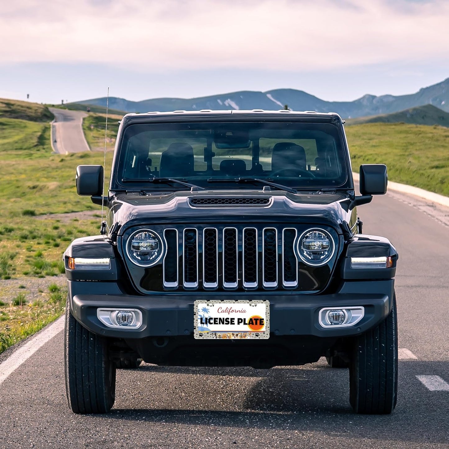 Dog License Plate Frame Pet Paw Prints Stainless Steel License Plate Holder for Front or Rear Car Tags Funny for Car Decoration Accessories with Screws 6.3 X 12.2 in for Women Men