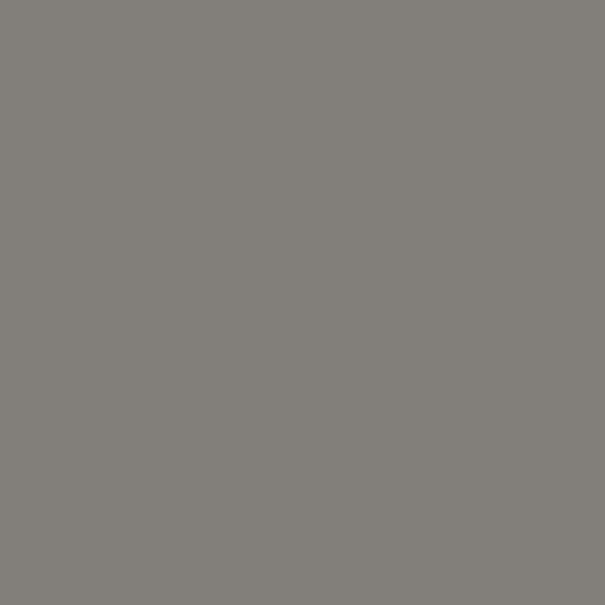 Rust-Oleum 363573 Engine Enamel Spray Paint, 11 oz, Flat Gray Primer, (Pack of 1)