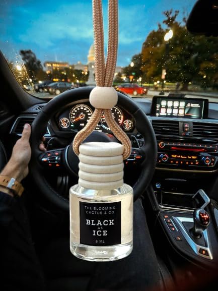 4 Pack Air fresheners | Long lasting car air fresheners, Hand-made in USA | Small room diffuser | Small Business Woman Owned. (8 ml Fresh & Earthy Pack Mix)