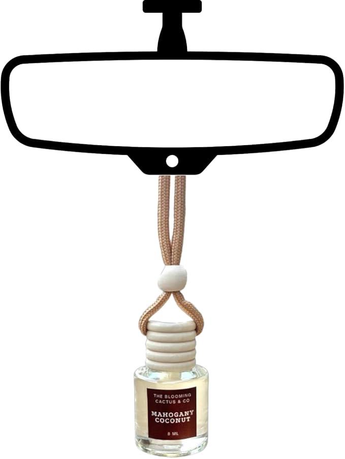 4 Pack Air fresheners | Long lasting car air fresheners, Hand-made in USA | Small room diffuser | Small Business Woman Owned. (8 ml Black Ice (Type) set of 4)