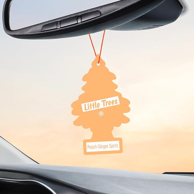LITTLE TREES Car Air Freshener | Hanging Tree Provides Long Lasting Scent for Auto and Home | Peach Ginger Spritz, 24 Air Fresheners