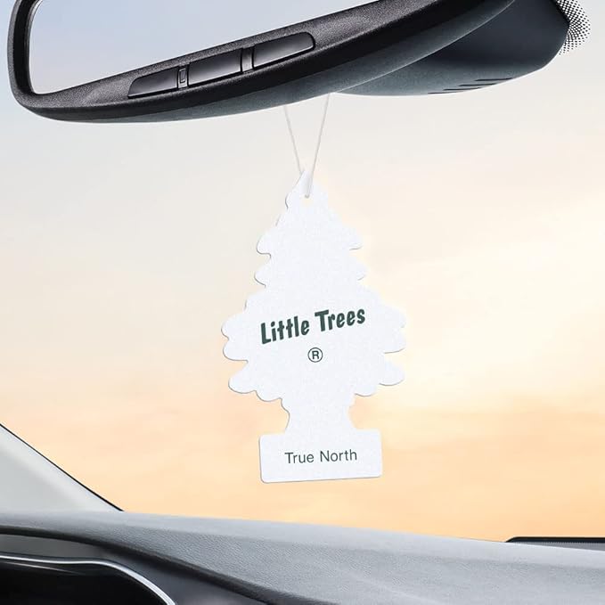 LITTLE TREES Car Air Freshener | Hanging Tree Provides Long Lasting Scent for Auto and Home | True North, 24 Air Fresheners