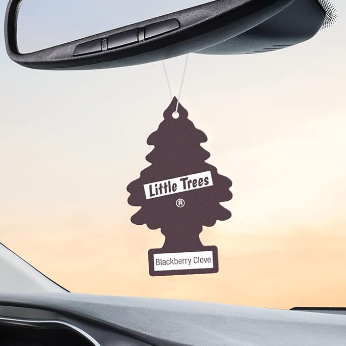 LITTLE TREES Car Air Freshener | Hanging Tree Provides Long Lasting Scent for Auto and Home | Blackberry Clove, 24 Air Fresheners