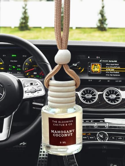 4 Pack Air fresheners | Long lasting car air fresheners, Hand-made in USA | Small room diffuser | Small Business Woman Owned. (10 ml Fresh & Earthy Pack Mix)