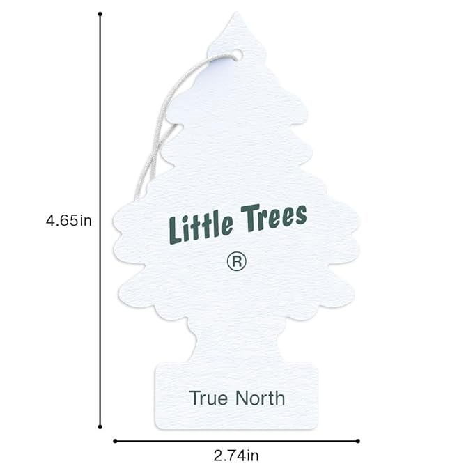 LITTLE TREES Car Air Freshener | Hanging Tree Provides Long Lasting Scent for Auto and Home | True North, 24 Air Fresheners