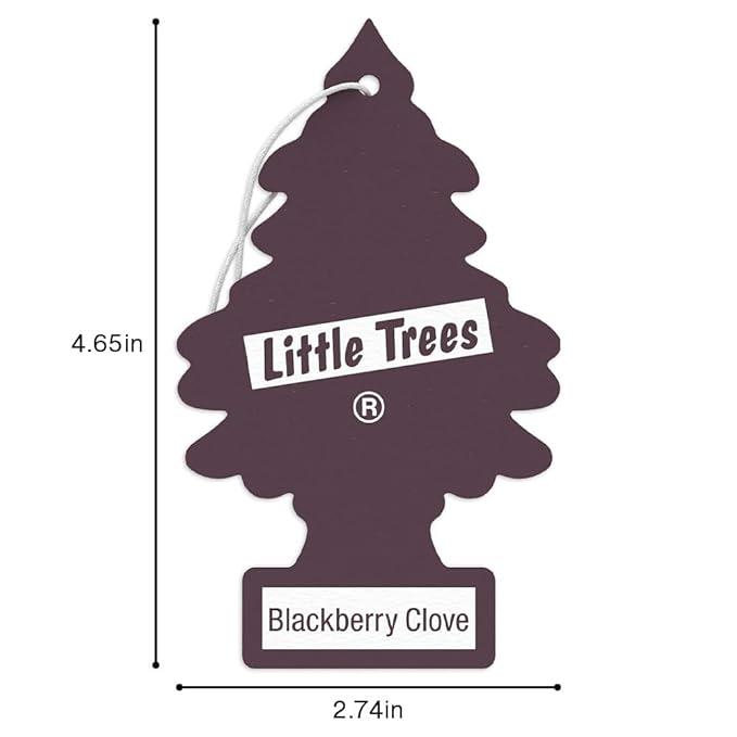 LITTLE TREES Car Air Freshener | Hanging Tree Provides Long Lasting Scent for Auto and Home | Blackberry Clove, 24 Air Fresheners