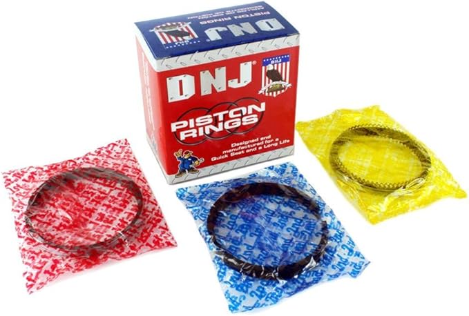 DNJ EK1139M Master Engine Rebuild Kit for 1998-2003 Dodge B1500, Dakota, Durango 3.9L V6 12V OHV 3906cc