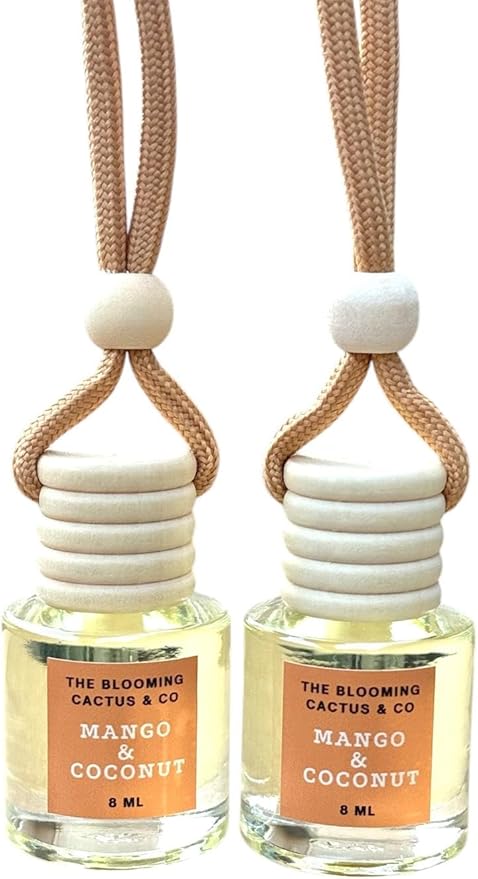2 Long-Lasting Fragrance Air Freshener - Car or Small Room Hanging Freshener - Phthalate Free Fragrance (Mango & Coconut)