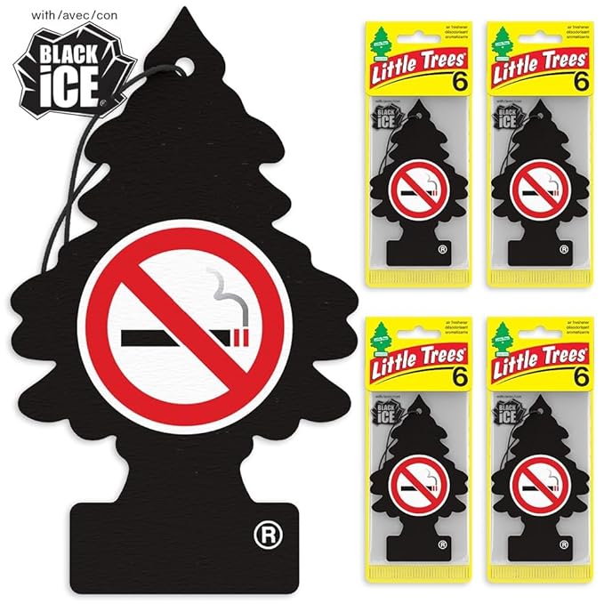 LITTLE TREES Car Air Freshener | Hanging Tree Provides Long Lasting Scent for Auto and Home | No Smoking, 24 Air Fresheners