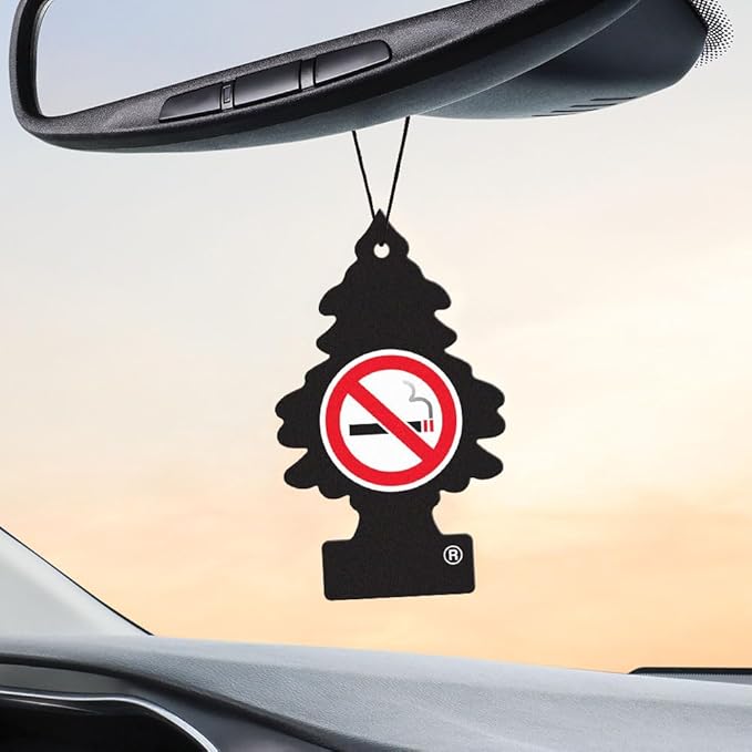 LITTLE TREES Car Air Freshener | Hanging Tree Provides Long Lasting Scent for Auto and Home | No Smoking, 24 Air Fresheners