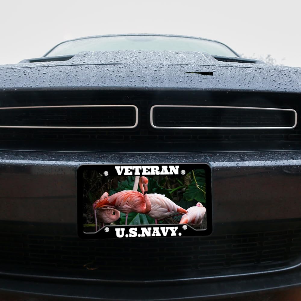 Personalized License Plate Frames Custom License Plate Holder 4 Holes Text Customizable Design Black Metal Chrome Car Tag Sign Funny Gift for Men Women Front or Back of Car Truck 6.3"x12.2"