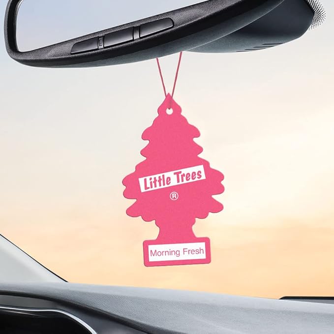 LITTLE TREES Car Air Freshener | Hanging Tree Provides Long Lasting Scent for Auto and Home | Morning Fresh, 24 Air Fresheners