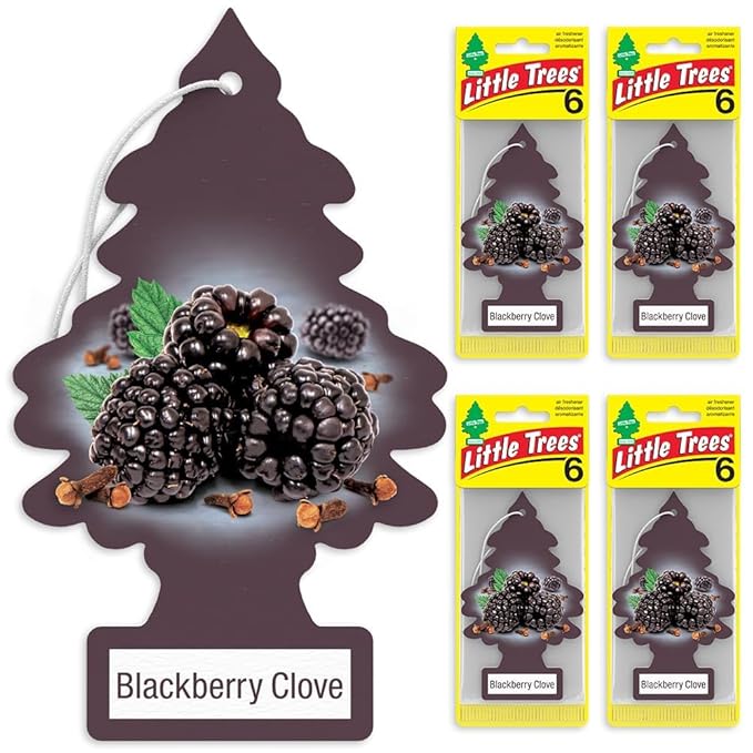 LITTLE TREES Car Air Freshener | Hanging Tree Provides Long Lasting Scent for Auto and Home | Blackberry Clove, 24 Air Fresheners