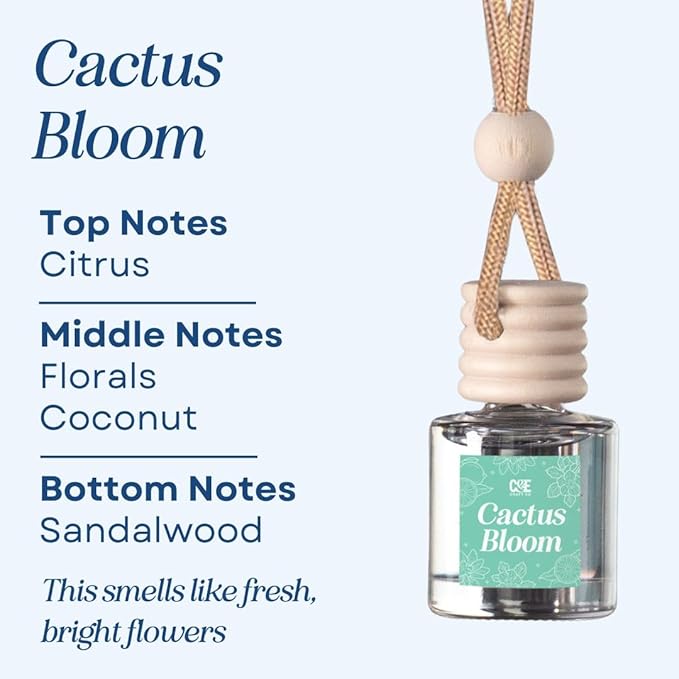 CANDECraftCo Car Air Hanging Fragrance Oil, Car Auto Freshener for Essential Oils, Scents Fragrance Aromatherapy Automobile Diffuser, Long Lasting (Cactus Bloom + Lavender Vanilla)