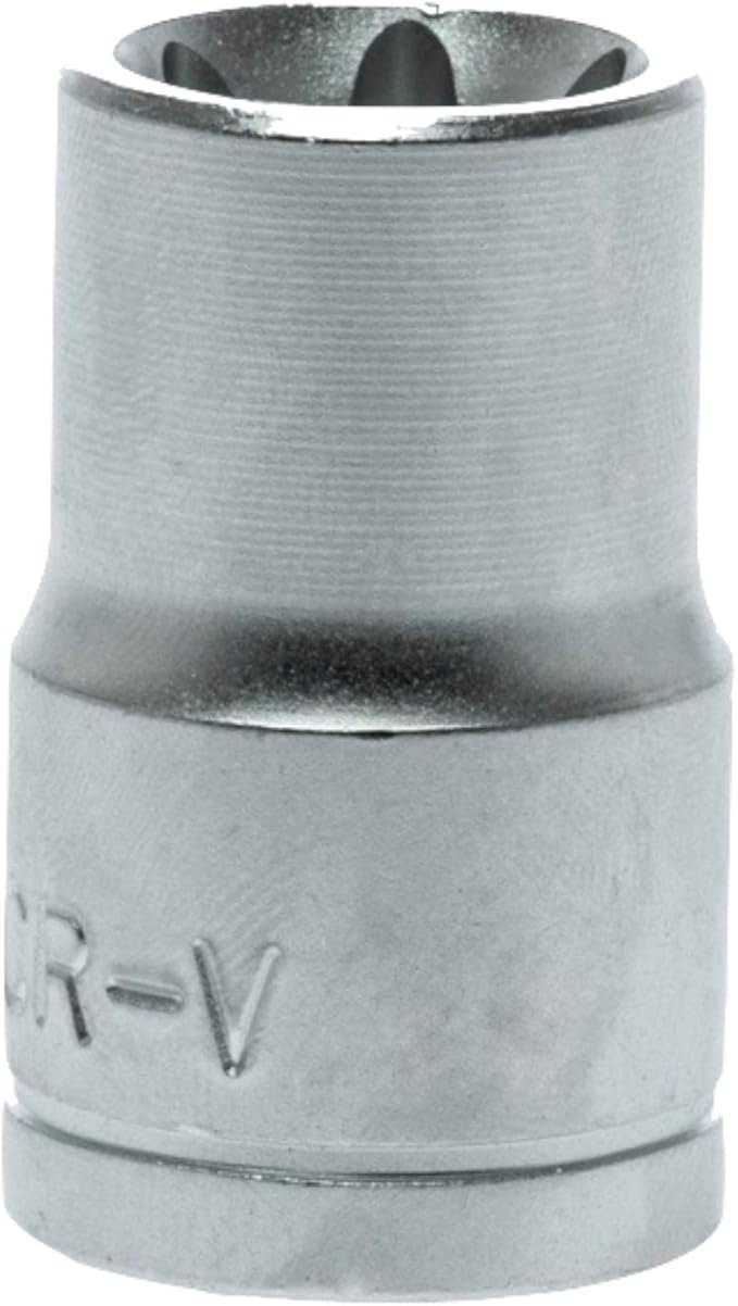 Teng Tools E6 1/4 Inch Drive Female E-Torx Star TX-E Chrome Vanadium Socket | Mechanic Tool | Hand Tool - M140706-C