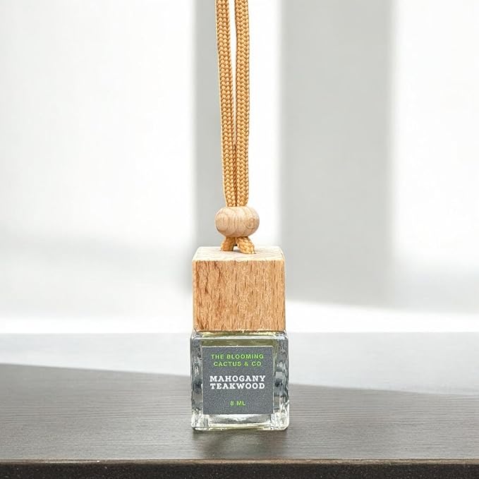 4 Pack Air fresheners | Long lasting car air fresheners, Hand-made in USA | Small room diffuser | Small Business Woman Owned. (Fresh & Earthy Mix SQ)
