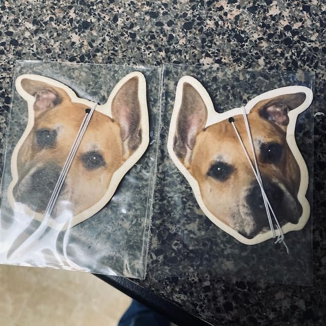 Custom Air Fresheners with Picture, Double Sided Air Fresheners with Custom Photo, Personalized Gift for Valentine’s Day Birthday