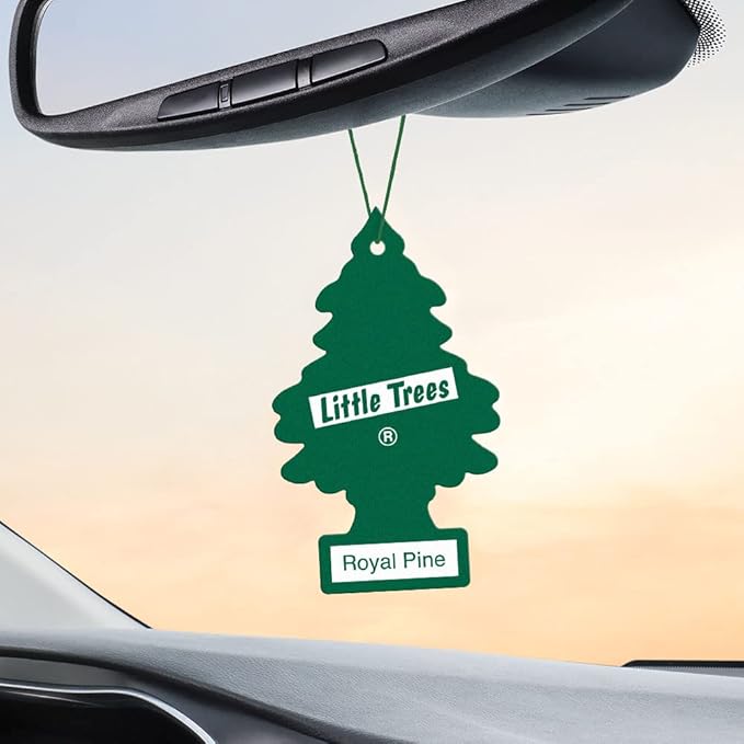 LITTLE TREES Car Air Freshener | Hanging Tree Provides Long Lasting Scent for Auto and Home | Royal Pine, 24 Air Fresheners