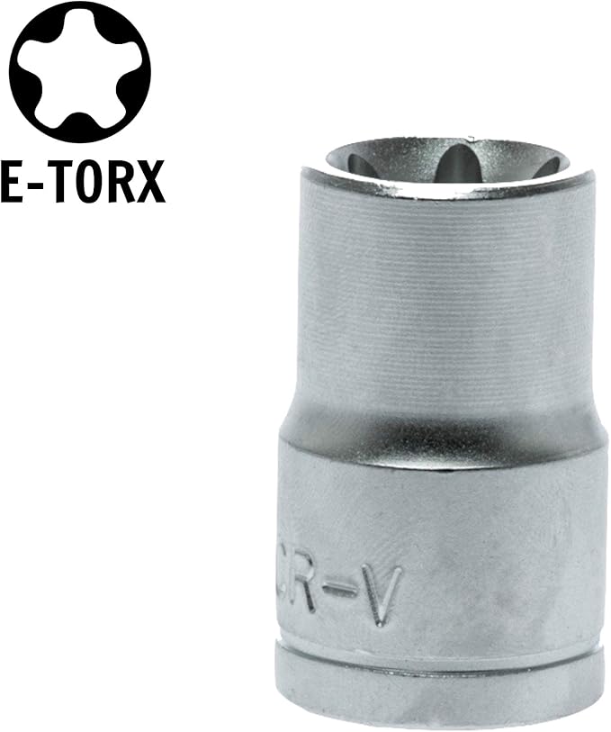 Teng Tools E6 1/4 Inch Drive Female E-Torx Star TX-E Chrome Vanadium Socket | Mechanic Tool | Hand Tool - M140706-C