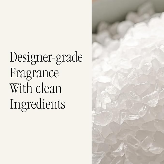 Pura and Studio McGee - Fragrance for Car Diffuser - Clean & Safe Luxury Scent Refill - Long-Lasting for 30 Days of Aroma - Must-Have Accessory - Sea Salt Driftwood