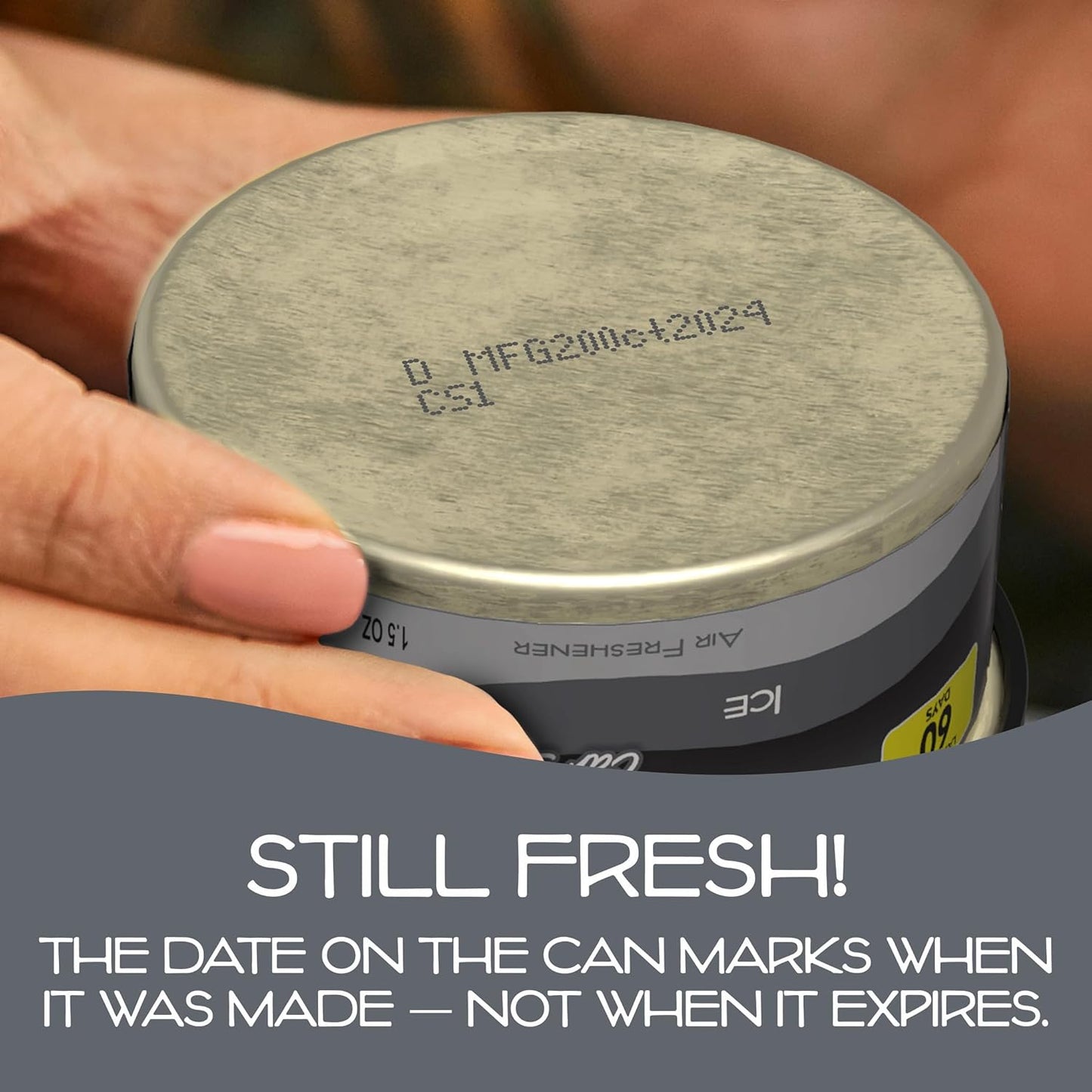 California Scents Car Freshener Can, Odor Neutralizer, Ice Scent, Pack of 12