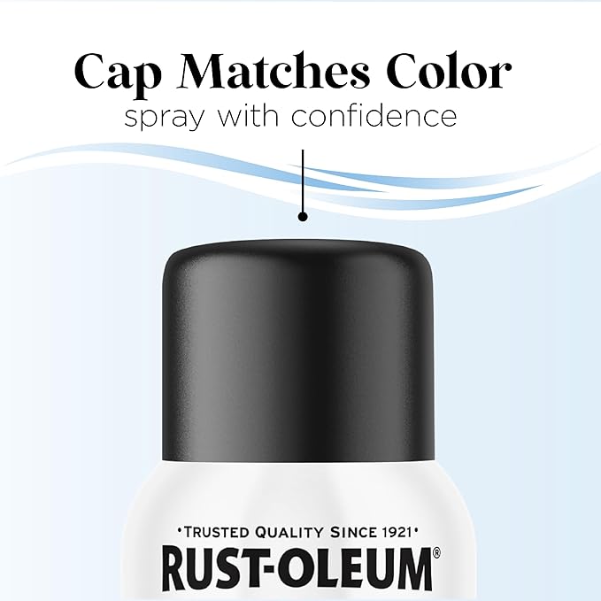 Rust-Oleum Low Odor Premium Spray Paint, 11 oz, Matte Blackout
