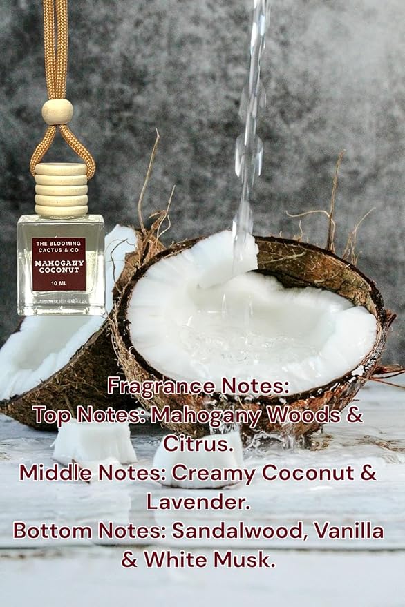 The Blooming Cactus & Co. - Car Diffuser Refill - Fragrance Oil Diffuser Refill - Reed Diffuser Refill 30 gr (Mahogany Coconut)