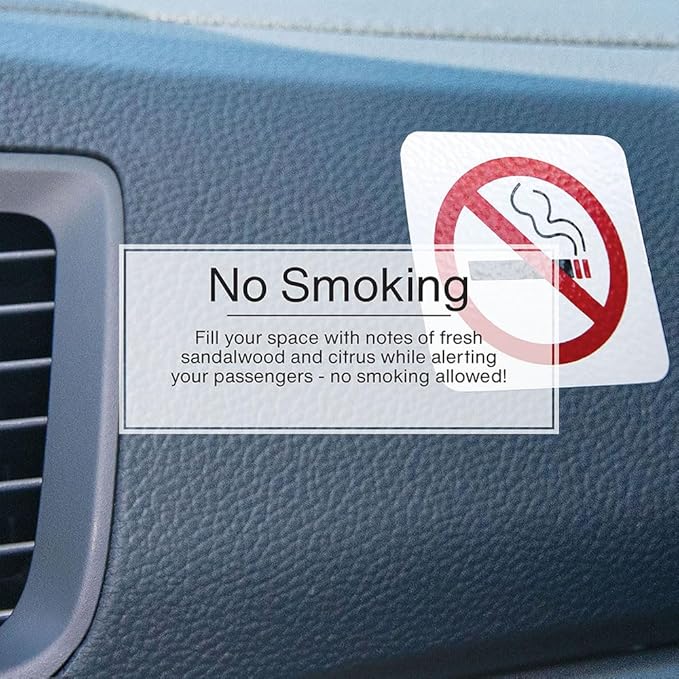 LITTLE TREES Car Air Freshener | Hanging Tree Provides Long Lasting Scent for Auto and Home | No Smoking, 24 Air Fresheners