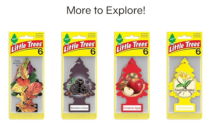 Little Trees Car Air Freshener | Hanging Tree Provides Long Lasting Scent for Auto and Home | Mango Berry Smoothie, 24 Air Fresheners