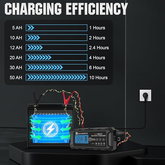 ECO-WORTHY 12V 5A Automatic Smart Battery Charger and Maintainer LCD Display for Lead Acid and Lithium (LiFePO4) Battery