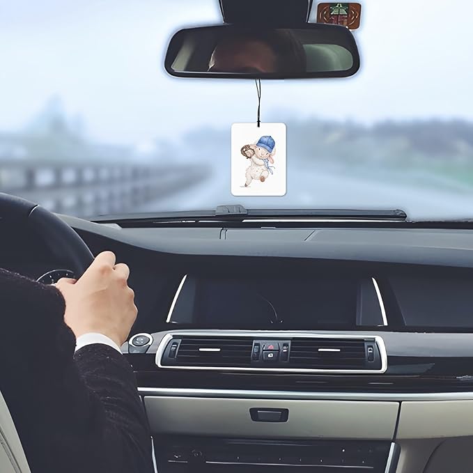 Baseball Animal Nursery Air Freshener 4 Pcs, Cute Animal Baseball Supplies Hanging Scents Air Freshener for Kids Boys Gifts, Vintage Scented Car Accessories Decor for Boys Kids Room Nursery