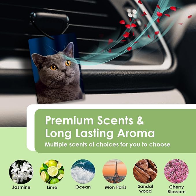 Custom Air Freshener for Car - Double Sided Photo Personalized Car Scents Air Freshener, Smell Air Fresheners With Picture for Wardrobe, Bathroom,Hanging Ornaments (Rectangle)