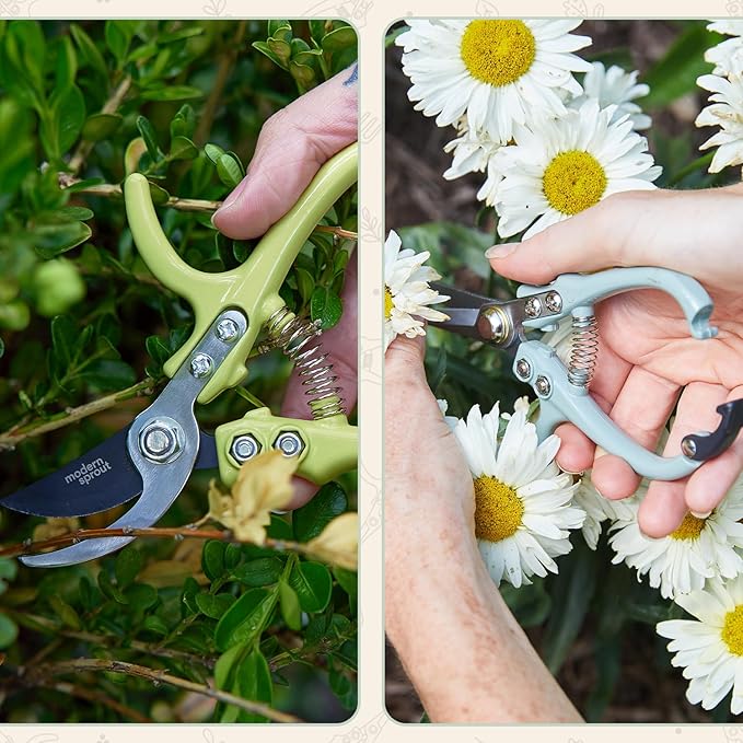 Modern Sprout Hand Pruners & Shears Set with Blister Pack - Lightweight Gardening Tools with Easy Lock - Sharp Carbon Steel Blades -Rust Resistant Scissors for Herbs, Flowers - Sage
