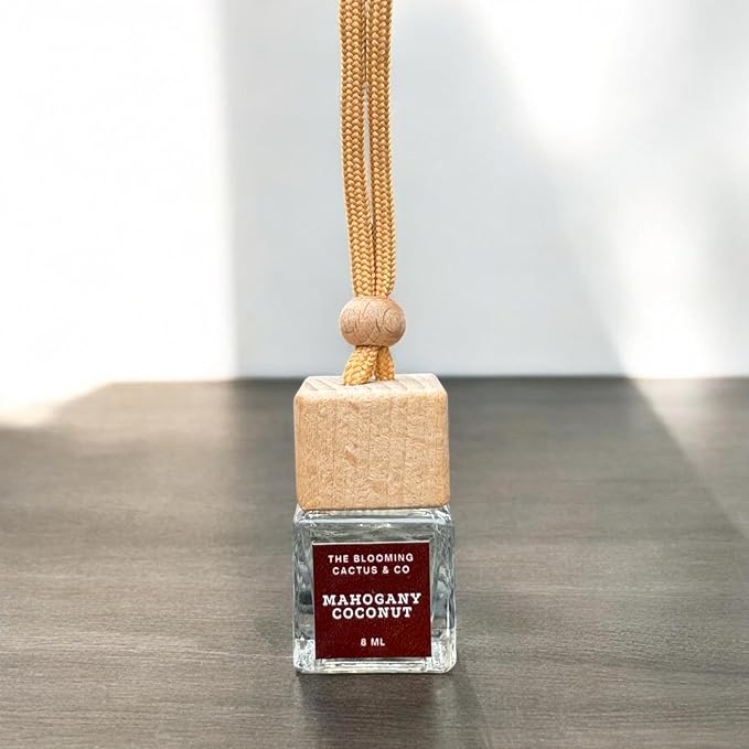 4 Pack Air fresheners | Long lasting car air fresheners, Hand-made in USA | Small room diffuser | Small Business Woman Owned. (Fresh & Earthy Mix SQ)