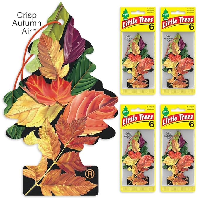 Little Trees Car Air Freshener | Hanging Tree Provides Long Lasting Scent for Auto and Home | Crisp Autumn Air, 24 Air Fresheners