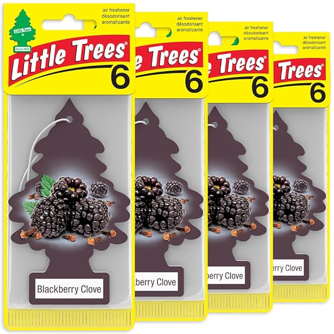 LITTLE TREES Car Air Freshener | Hanging Tree Provides Long Lasting Scent for Auto and Home | Blackberry Clove, 24 Air Fresheners