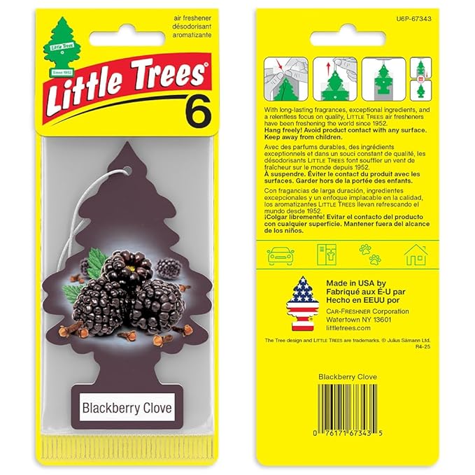 LITTLE TREES Car Air Freshener | Hanging Tree Provides Long Lasting Scent for Auto and Home | Blackberry Clove, 24 Air Fresheners