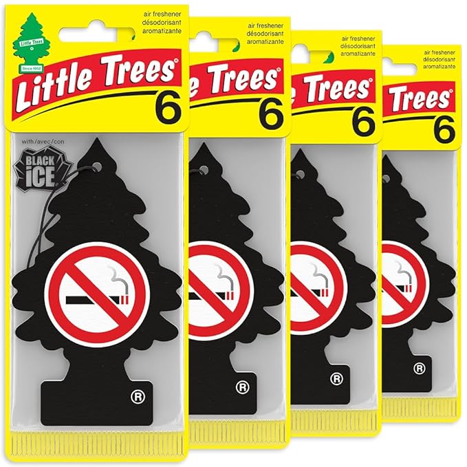 LITTLE TREES Car Air Freshener | Hanging Tree Provides Long Lasting Scent for Auto and Home | No Smoking, 24 Air Fresheners