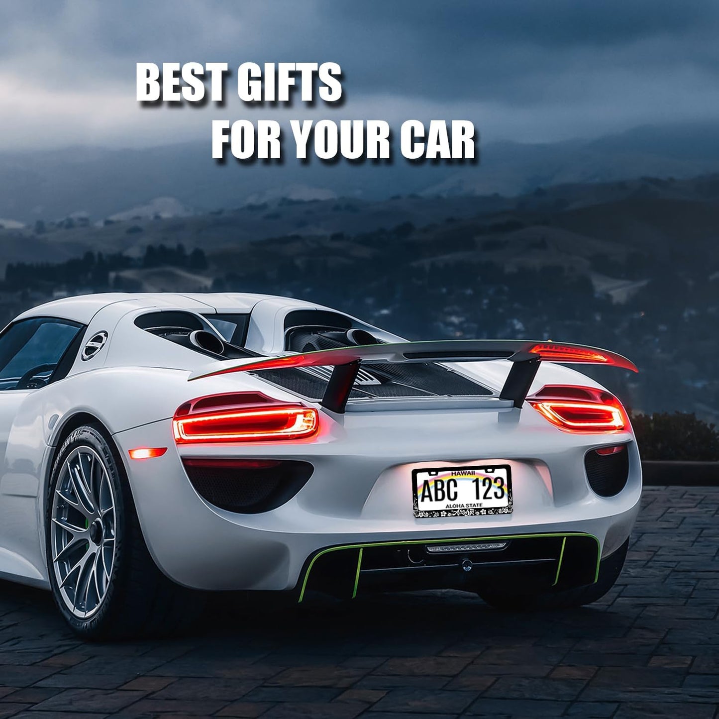 Aloha License Plate Frame Hibiscus Flowers License Plate Holder Stainless Steel Funny Design with 2 Holes and Screws 12.3" x 6.3"