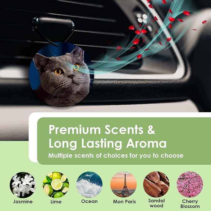 Custom Air Freshener for Car - Double Sided Photo Personalized Car Scents Air Freshener, Smell Air Fresheners With Picture for Wardrobe, Bathroom,Hanging Ornaments (rotundity)