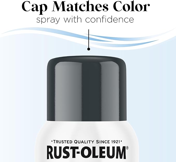 Rust-Oleum Low Odor Premium Spray Paint, 11 oz, Gloss Anchor Gray, 6 Pack