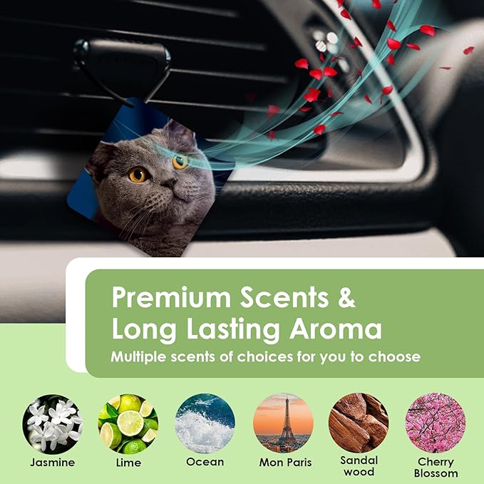 Custom Air Freshener for Car - Double Sided Photo Personalized Car Scents Air Freshener, Smell Air Fresheners With Picture for Wardrobe, Bathroom,Hanging Ornaments (lozenge)