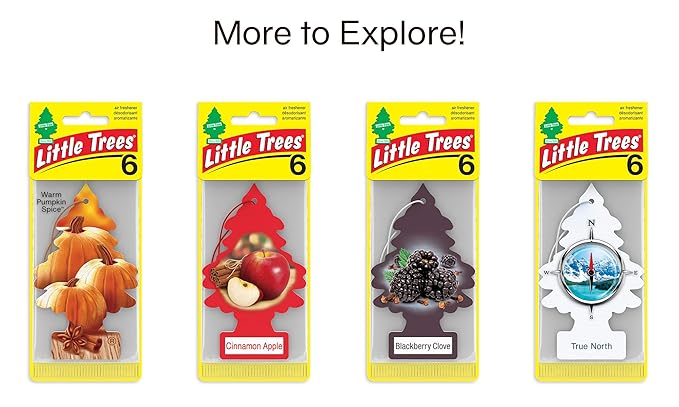 Little Trees Car Air Freshener | Hanging Tree Provides Long Lasting Scent for Auto and Home | Enchanted, 24 Air Fresheners