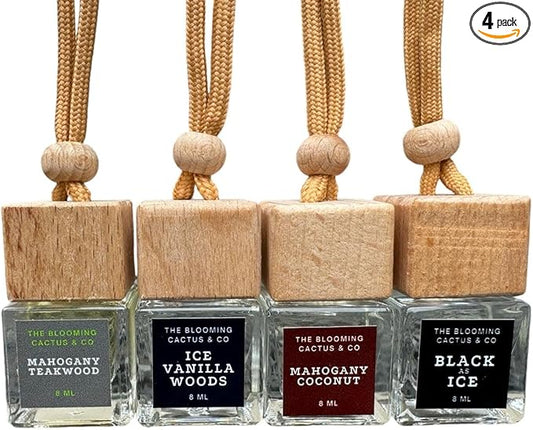4 Pack Air fresheners | Long lasting car air fresheners, Hand-made in USA | Small room diffuser | Small Business Woman Owned. (Fresh & Earthy Mix SQ)