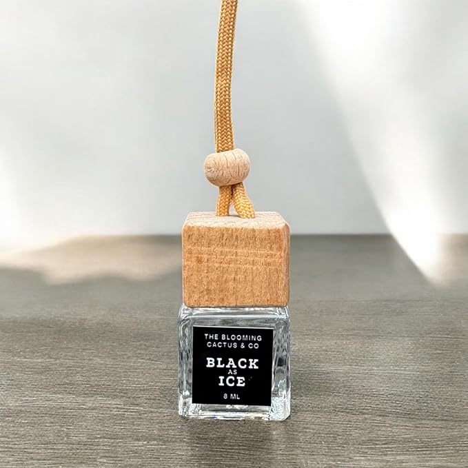 4 Pack Air fresheners | Long lasting car air fresheners, Hand-made in USA | Small room diffuser | Small Business Woman Owned. (Fresh & Earthy Mix SQ)