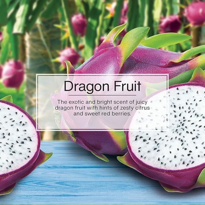 LITTLE TREES Car Air Freshener | Hanging Tree Provides Long Lasting Scent for Auto and Home | Dragon Fruit, 24 Air Fresheners