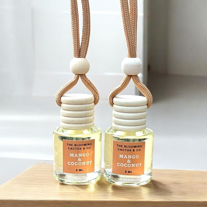 2 Long-Lasting Fragrance Air Freshener - Car or Small Room Hanging Freshener - Phthalate Free Fragrance (Mango & Coconut)